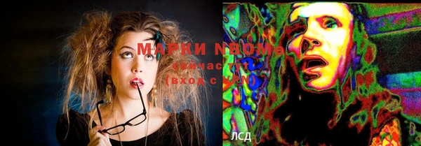гашик Магадан