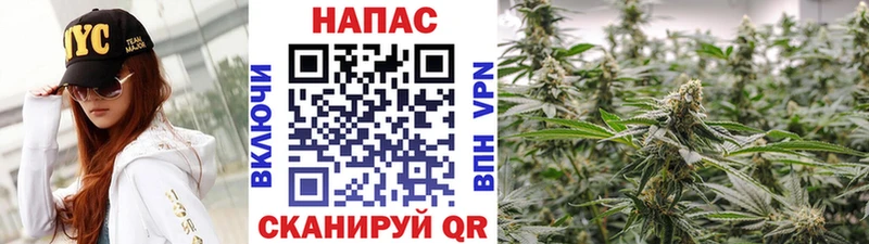Шишки марихуана Ganja мега зеркало Нефтегорск